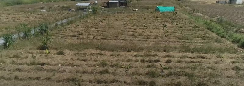 Low Budget Farm Plot for Sale