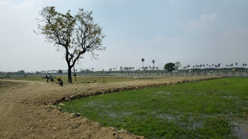 Residential Plot