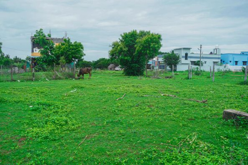 Plot sale