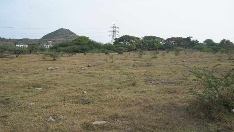 plots for sale