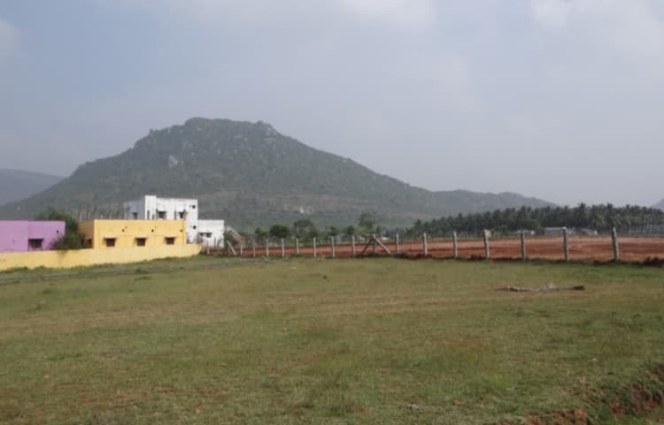 Single Property Image