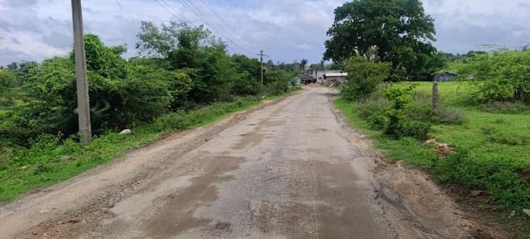 Single Property Image