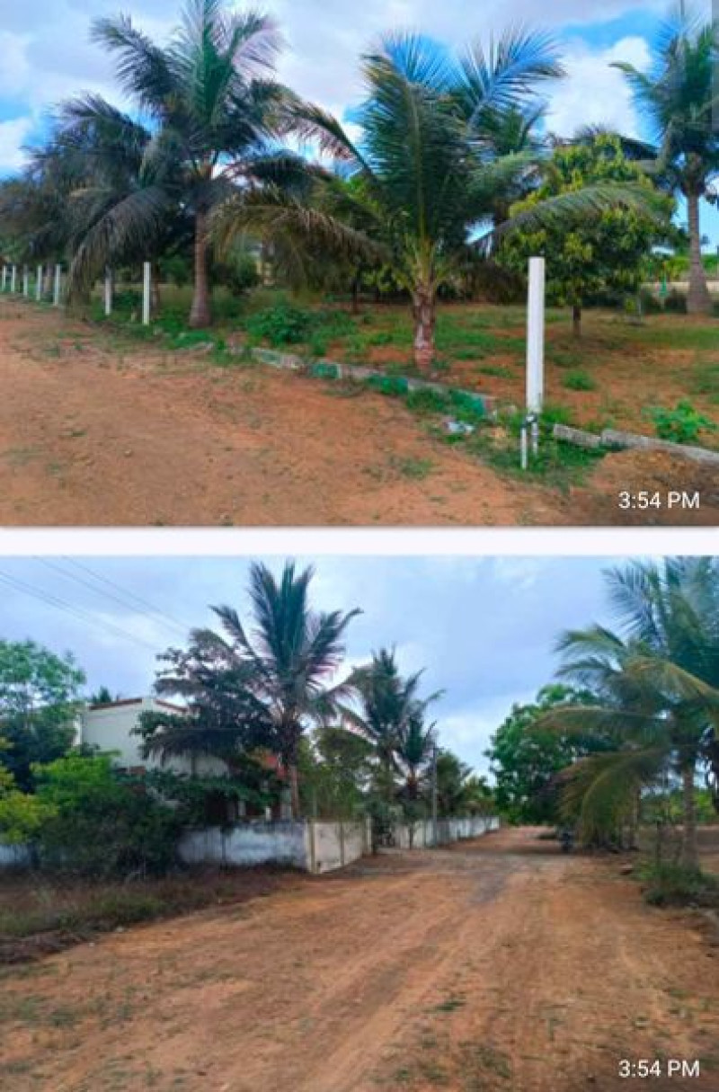 Land sale