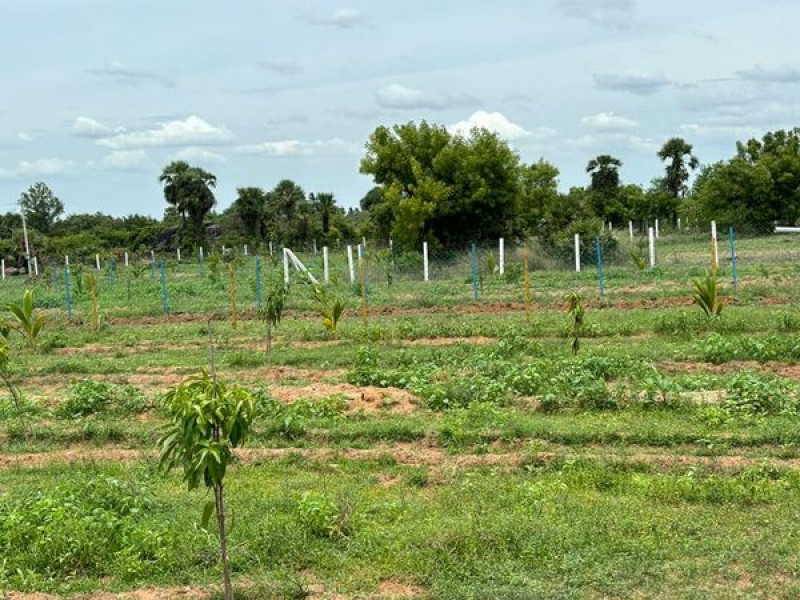 Land sale