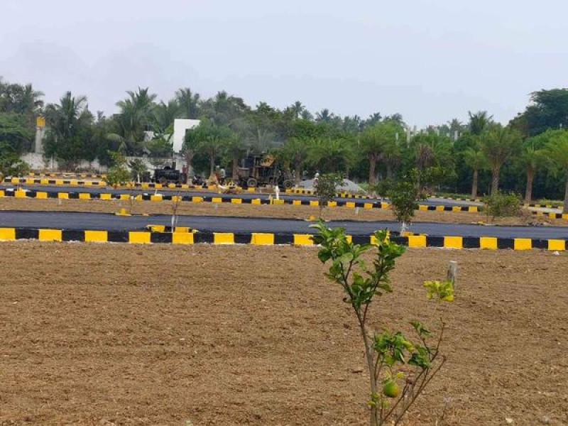 PLot sale