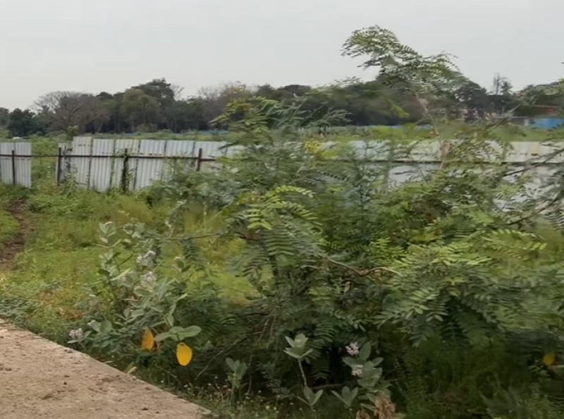 Land for sales