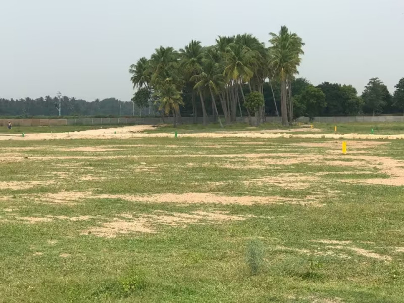 Residential Plot