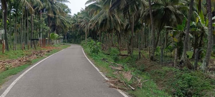 Single Property Image