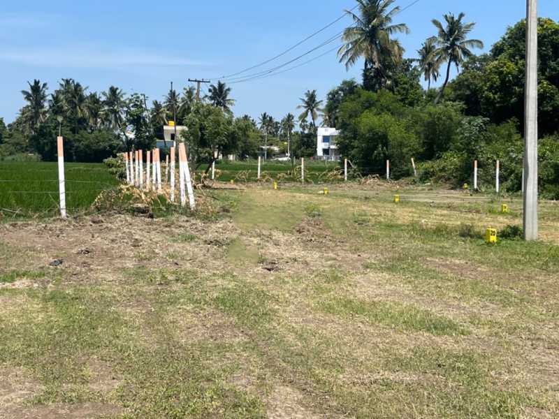 plot for sale
