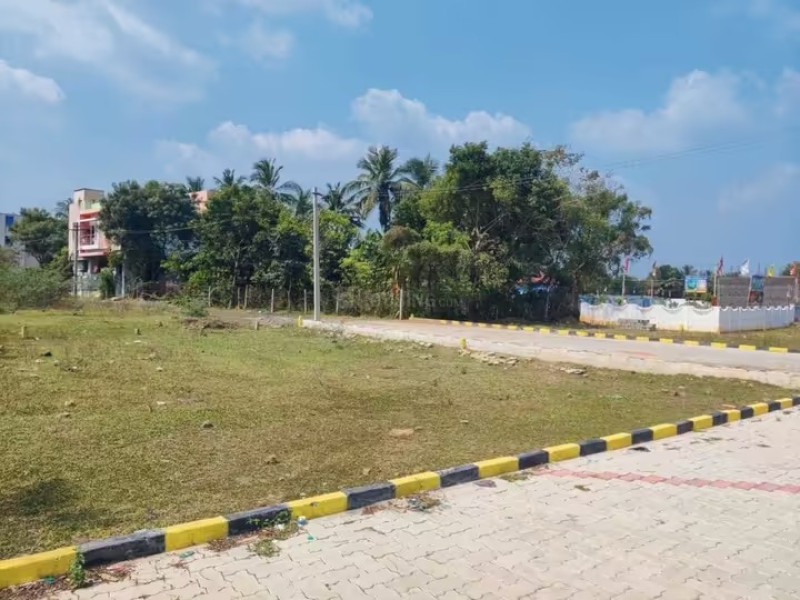 Residential Plot
