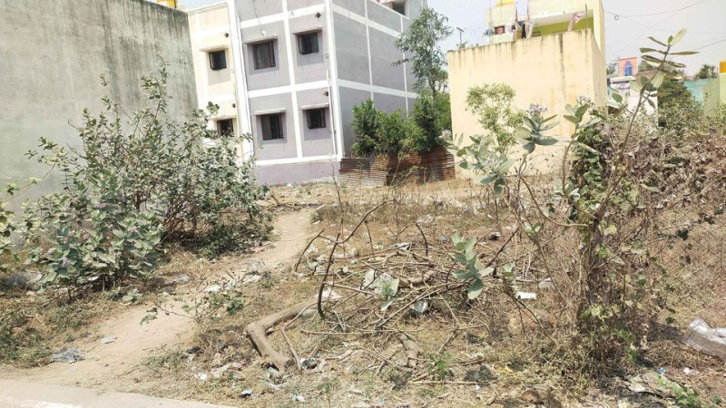 site for sale