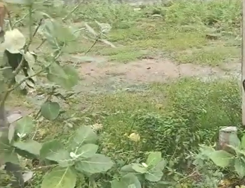 Land for sales
