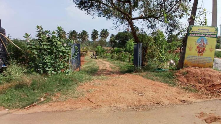 Coconut Farm Land For Sale