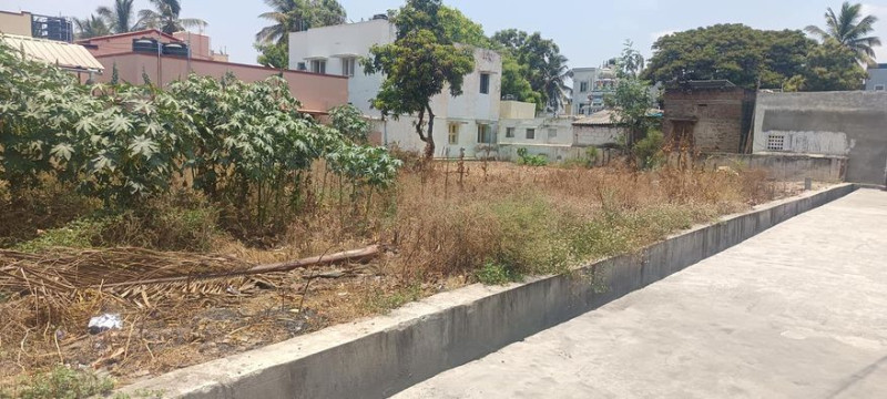 site for sale