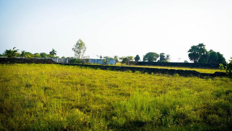 Land sale