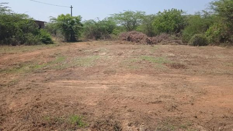 Land sale