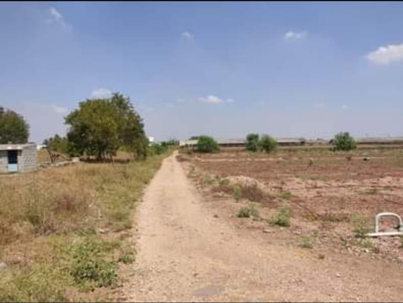 site for sale