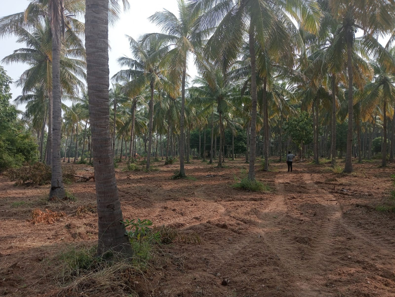 Plot for sale