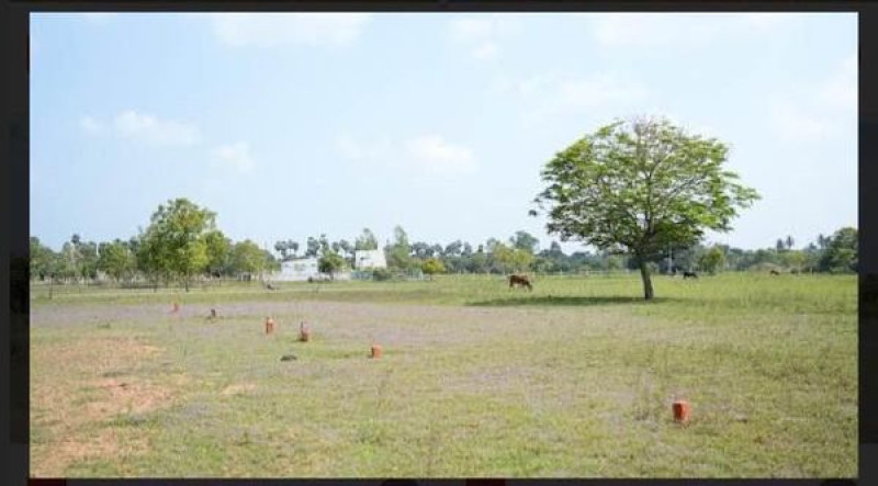 Plot sale