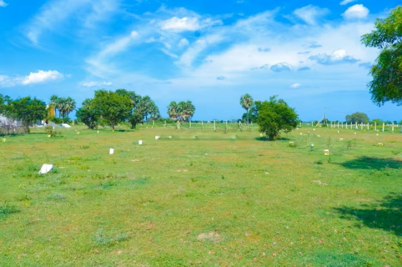 plot for sale