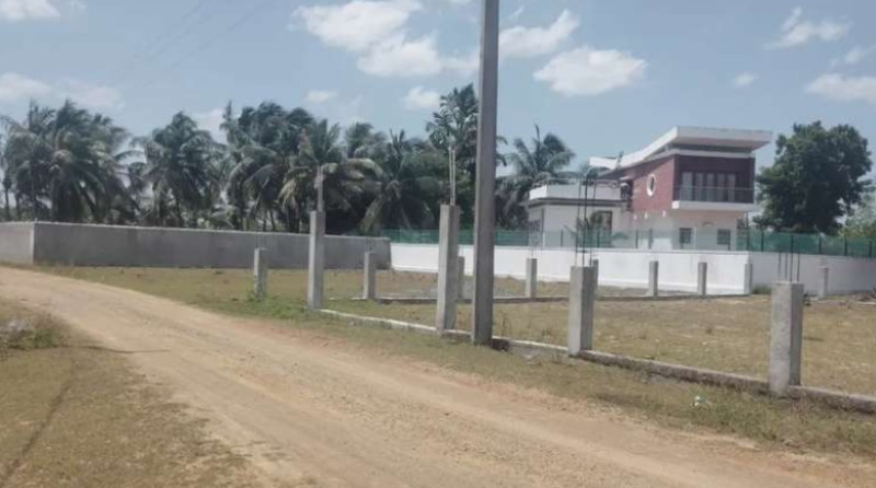 plot for sale