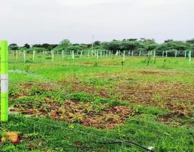 land sale