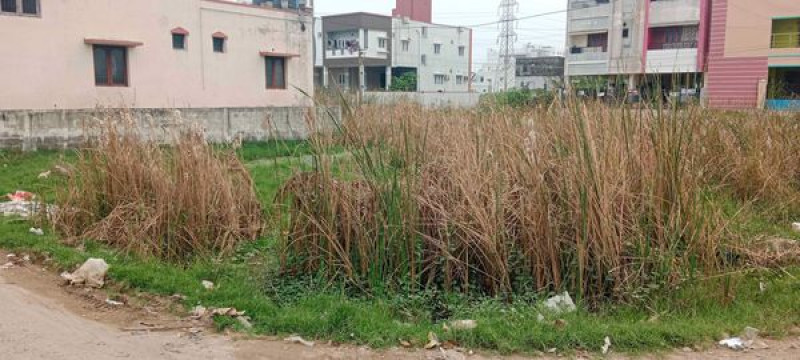 PLot sale