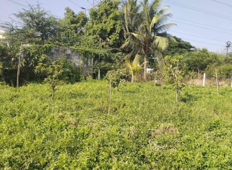 Land sale