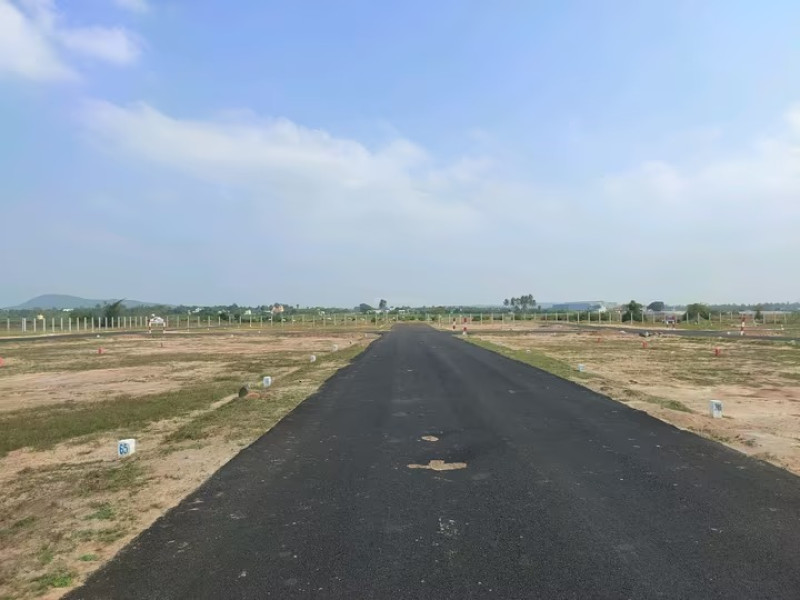 Residential Plot