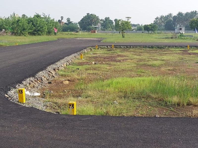 Residential Plot