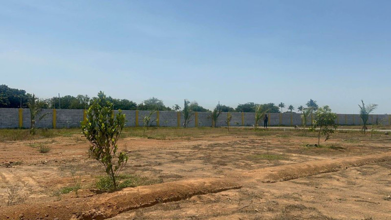 Plot sale