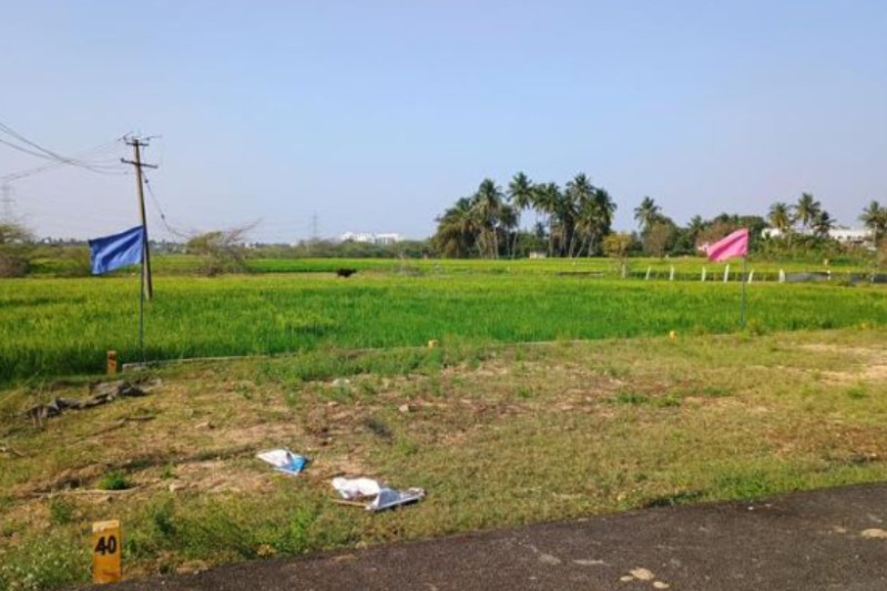 Land for Sale