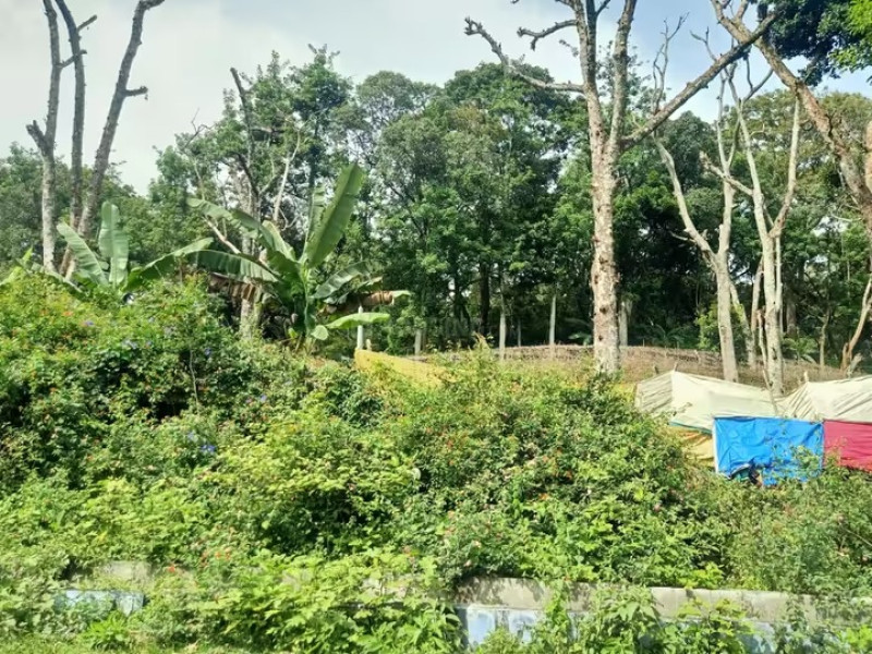 Residential Plot