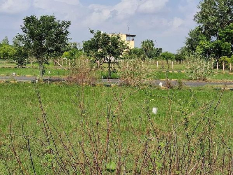 Plot sale
