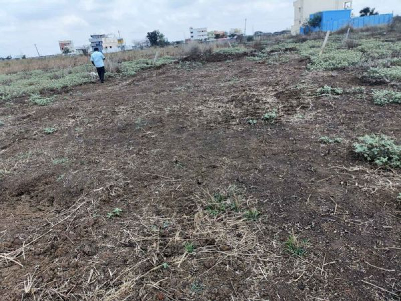Plot sale
