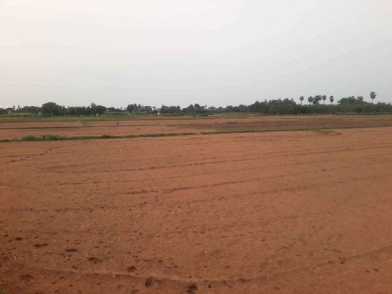 Low Budget Land for Sale