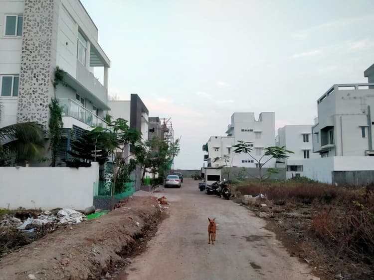 Single Property Image