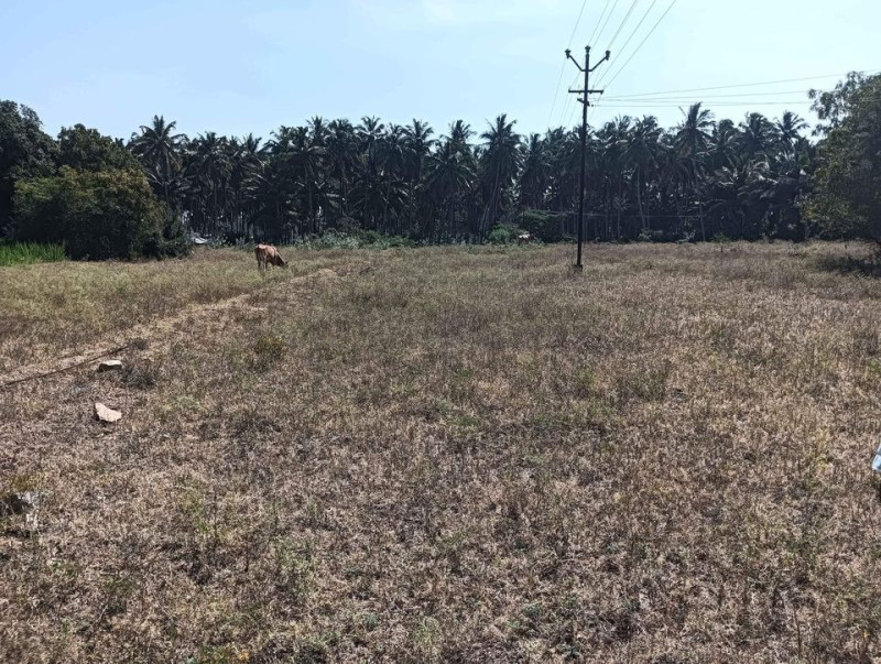Empty Land for Sale