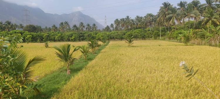 agri land for sale