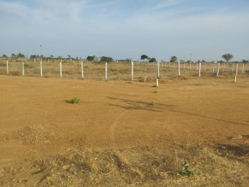 Residential Plot
