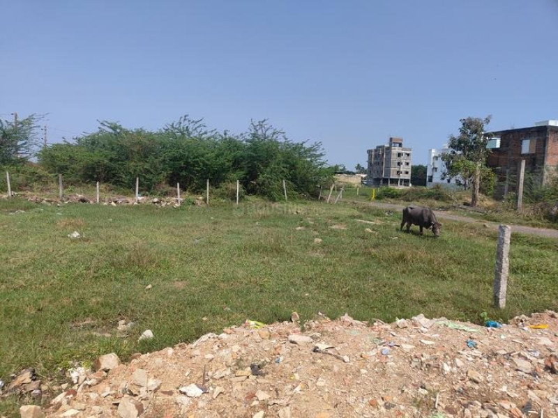Residential Plot