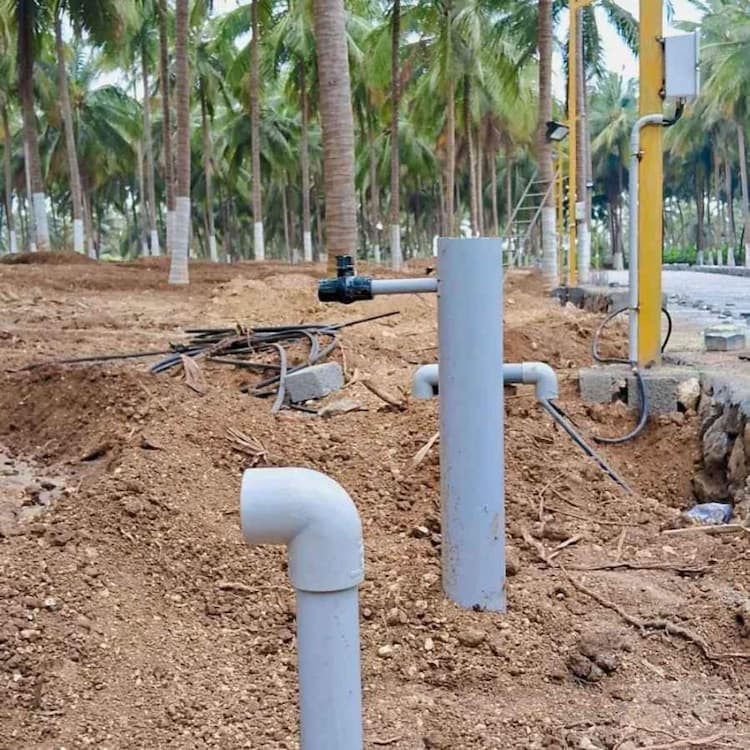 Coconut farmland sale