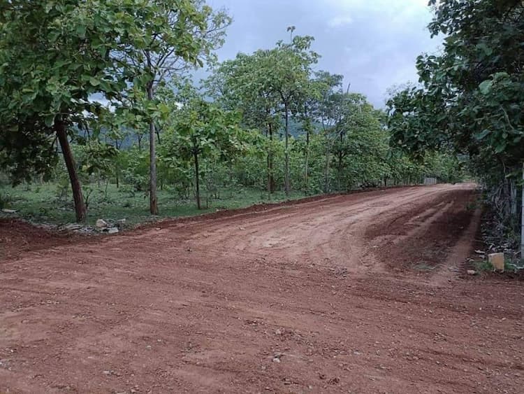 Single Property Image