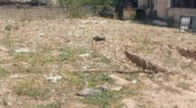 Land for sales