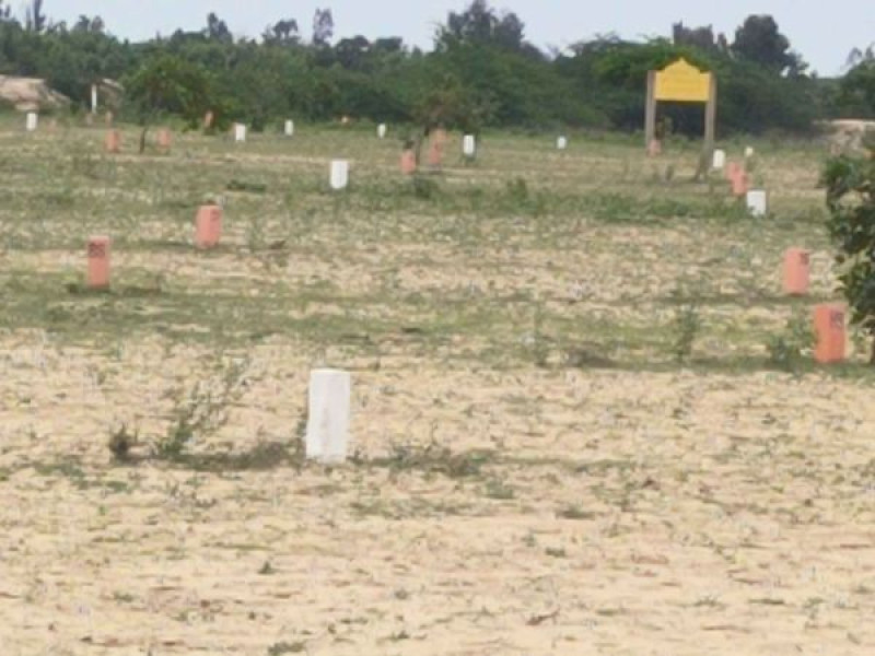 Plot sale