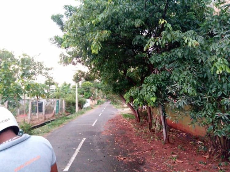 Single Property Image