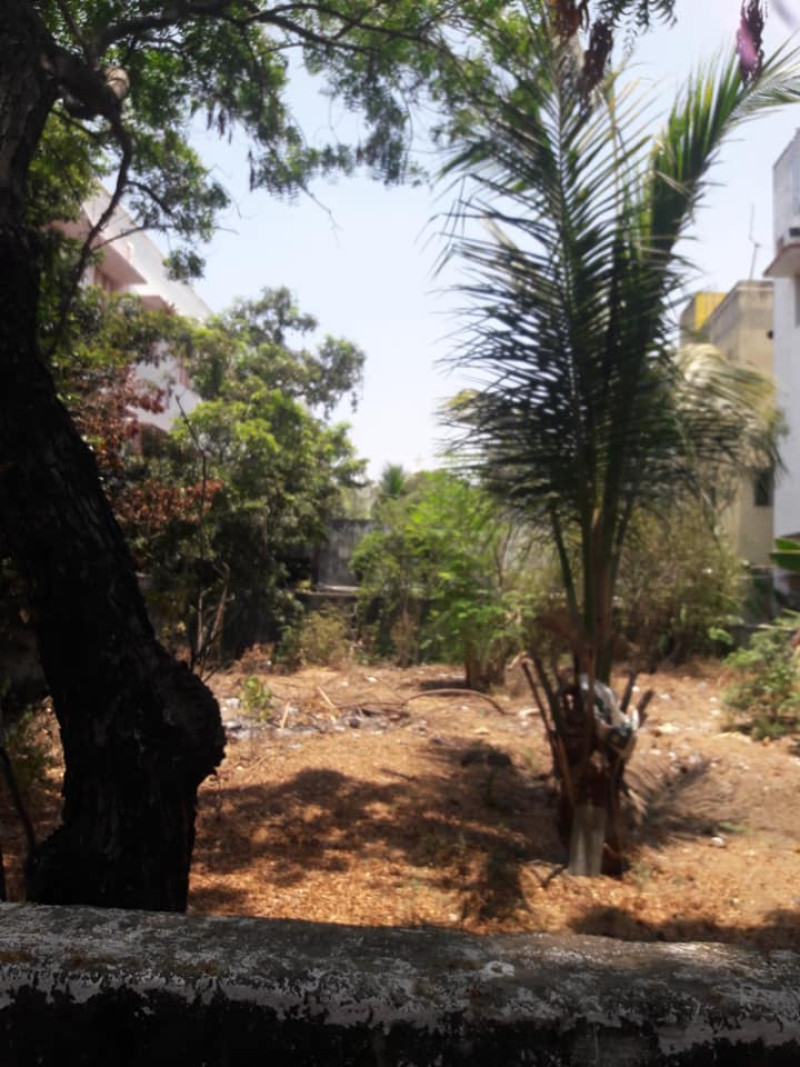 Land for sales