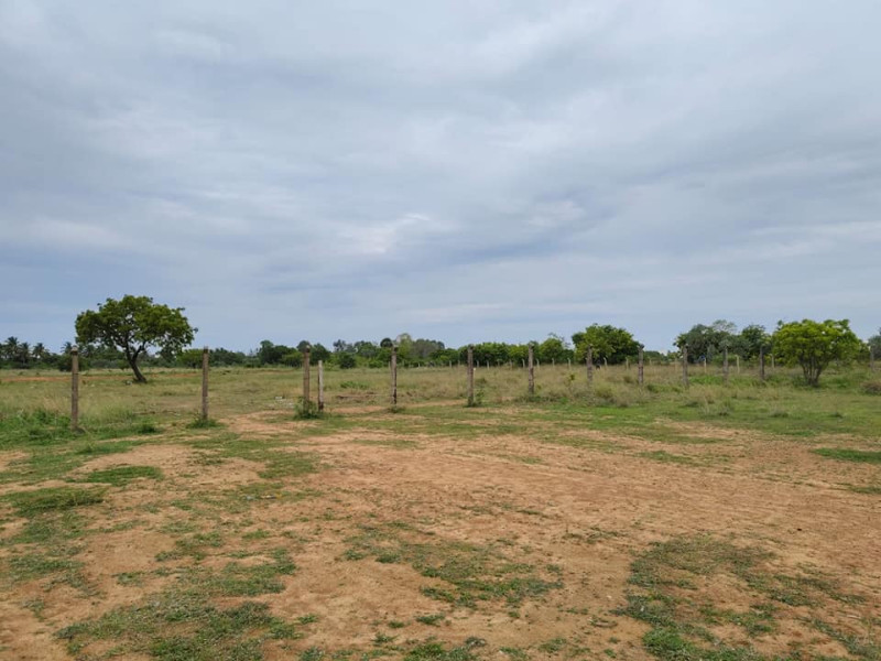Plot sale