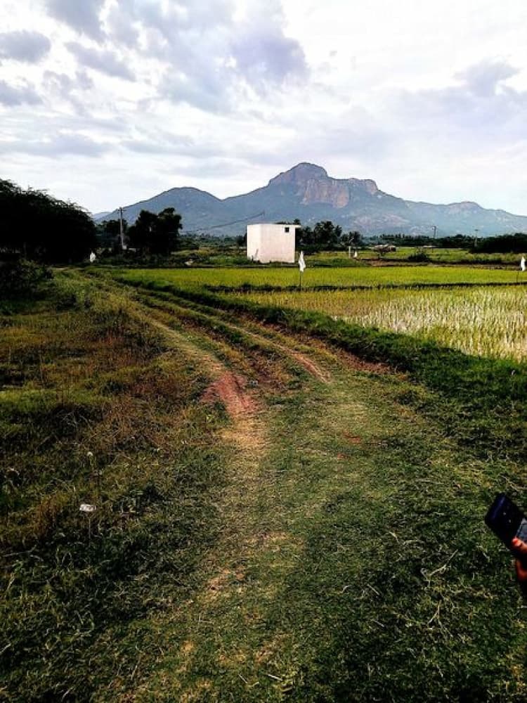 Single Property Image