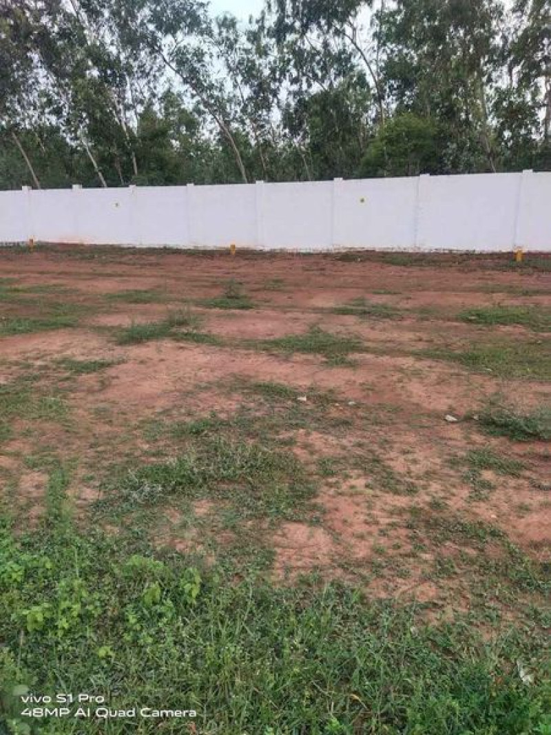Plot sale